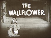 The Wallflower Pictures Cartoons