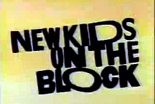 New Kids on the Block Episode Guide Logo