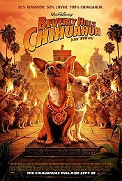 Beverly Hills Chihuahua Cartoon Pictures