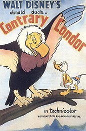 Contrary Condor Pictures Of Cartoons