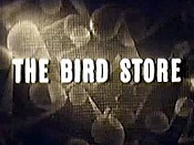 The Bird Store Pictures To Cartoon