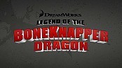 Legend Of The Boneknapper Dragon Pictures Cartoons