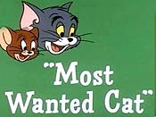 Most Wanted Cat Pictures Of Cartoons
