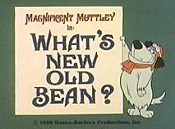 What's New Old Bean? Cartoon Funny Pictures