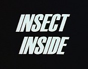 Insect Inside Pictures To Cartoon