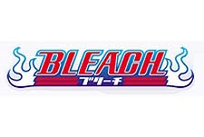 Bleach Episode Guide Logo