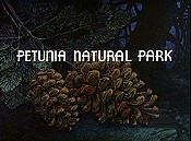 Petunia Natural Park [1939]