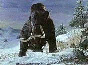 Woolly Mammoth Pictures Of Cartoon Characters