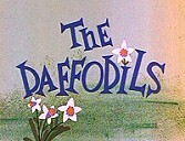 The Daffodils The Cartoon Pictures