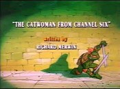 The Catwoman From Channel Six Free Cartoon Pictures