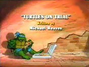 Turtles On Trial Free Cartoon Pictures