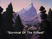 state of survival - survival of the fittest guide