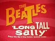 Long Tall Sally Picture Into Cartoon