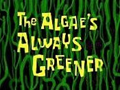 The Algae's Always Greener Cartoon Character Picture