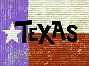 Texas Cartoon Character Picture