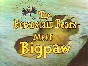 The Berenstain Bears Meet Bigpaw Cartoon Pictures