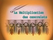 La Mmultiplication Des Cancrelats (Cloning Around) Picture Of Cartoon