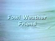 Fowl Weather Friend Picture Into Cartoon