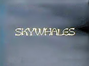 Skywhales Cartoon Funny Pictures
