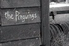 The Pingwings
