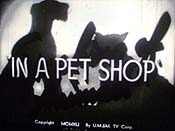 In A Pet Shop Cartoons Picture