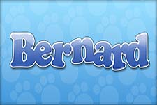Bernard Episode Guide Logo