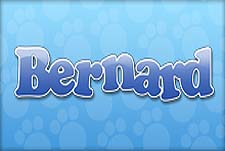 Bernard