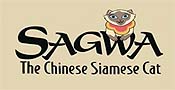 How Sagwa Got Her Colors Picture To Cartoon