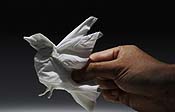 Tissue Animals Cartoon Pictures