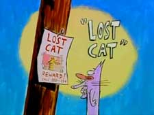 Lost Cat Cartoon Character Picture