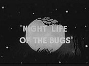 Night Life Of The Bugs Cartoon Picture