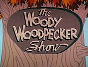 The Woody Woodpecker Show (Series) Cartoon Picture