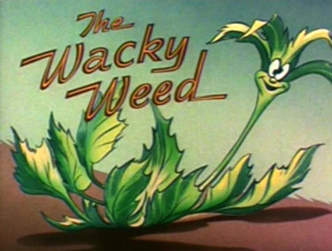 The Wacky Weed Picture To Cartoon