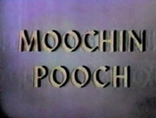Moochin Pooch Cartoon Pictures