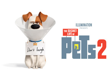 The Secret Life of Pets 2 Picture Of Cartoon