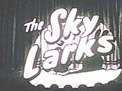 Sky Larks Cartoon Picture