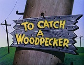 To Catch A Woodpecker Cartoons Picture