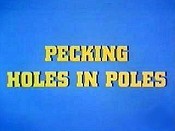 Pecking Holes In Poles Pictures Cartoons