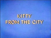 Kitty From The City Pictures Cartoons