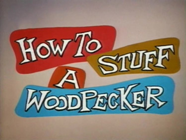 How To Stuff A Woodpecker Cartoons Picture