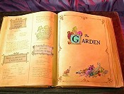 The Garden Cartoons Picture