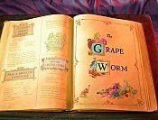 The Grape Worm Cartoons Picture