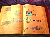 The Meach Harvest Cartoons Picture