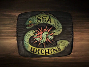 Sea Urchins Cartoon Pictures