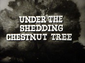 Under The Shedding Chestnut Tree Cartoon Pictures