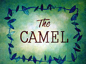 The Camel Cartoon Character Picture