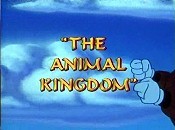 The Animal Kingdom Picture Into Cartoon