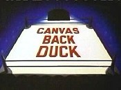 Canvas Back Duck Pictures Of Cartoons