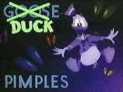 Duck Pimples Cartoon Picture