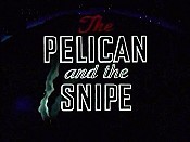 The Pelican And The Snipe Pictures To Cartoon